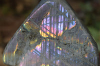 Polished Rare Purple Flash Labradorite Standing Free Forms x 3 From Tulear, Madagascar