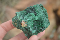 Natural Chatoyant Silky Malachite Specimens  x 6 From Kasompe, Congo - TopRock