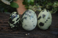 Polished Spotted Leopard Stone Eggs x 8 From Nyanga & Shamva, Zimbabwe - Toprock Gemstones and Minerals 