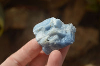 Natural New Sky Blue Calcite Specimens  x 35 From Spitzkop, Namibia