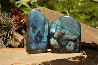 Polished Labradorite Standing Free Forms With Intense Blue Flash x 2 From Sakoany, Madagascar - TopRock