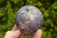 Polished Small Purple Lepidolite Spheres (Rubellite Inclusions on some) x 6 From Madagascar - TopRock