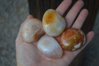 Polished Carnelian Agate Palm Stones  x 6 From Madagascar - Toprock Gemstones and Minerals 