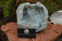 Natural Gorgeous Crystalline Pale Blue Celestite Geode Specimen  x 1 From Sakoany, Madagascar - TopRock