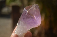 Natural Single Jacaranda Amethyst Crystals x 12 From Zambia