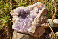 Natural XXL Jacaranda Amethyst Crystal Geode / Vug Specimen  x 1 From Mumbwe, Zambia - TopRock