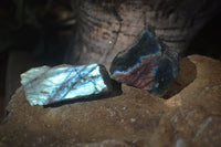 Polished One Side Polished Labradorite Slices  x 12 From Tulear, Madagascar - Toprock Gemstones and Minerals 