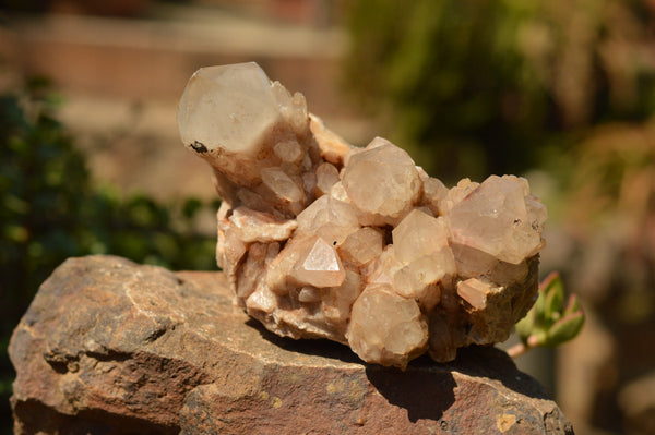 Natural Smokey Phantom Quartz Clusters x 2 From Luena, Congo - TopRock