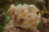 Natural Golden Hematoid Quartz Clusters  x 6 From Zambia - TopRock