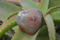 Polished Polychrome Jasper Hearts  x 6 From Mahajanga, Madagascar