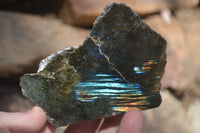 Polished One Side Polished Labradorite Slices  x 12 From Tulear, Madagascar - Toprock Gemstones and Minerals 