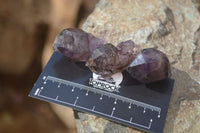 Natural Window Amethyst Crystals  x 12 From Chiredzi, Zimbabwe