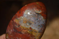 Polished  Red Jasper Standing Free Forms  x 2 From Madagascar