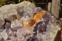 Natural XXL Jacaranda Amethyst Crystal Geode / Vug Specimen  x 1 From Mumbwe, Zambia - TopRock