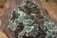 Natural Drusy Coated Ball Malachite On Dolomite Specimen  x 1 From Likasi, Congo