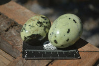 Polished Spotted Leopard Stone Eggs x 8 From Nyanga & Shamva, Zimbabwe - Toprock Gemstones and Minerals 