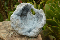 Natural Gorgeous Crystalline Pale Blue Celestite Geode Specimen  x 1 From Sakoany, Madagascar - TopRock