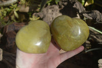 Polished Green Opal Gemstone Hearts  x 6 From Antsirabe, Madagascar