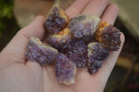 Natural Mini Dark Purple Amethyst Specimens  x 70 From Zambia - Toprock Gemstones and Minerals 