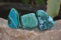 Polished Stunning Malacholla Free Forms  x 35 From Congo - Toprock Gemstones and Minerals 