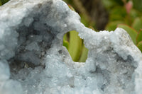 Natural Gorgeous Crystalline Pale Blue Celestite Geode Specimen  x 1 From Sakoany, Madagascar - TopRock