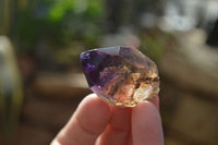 Polished Single Window Amethyst Crystals x 20 From Ankazobe, Madagascar