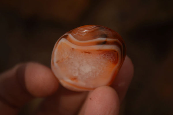 Polished  Small Carnelian Agate Free Forms  x 42 From Madagascar