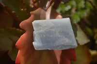 Natural New Sky Blue Calcite Specimens  x 35 From Spitzkop, Namibia