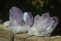 Natural Jacaranda Amethyst Clusters  x 3 From Zambia - Toprock Gemstones and Minerals 