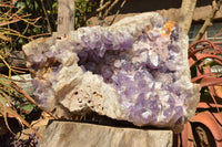 Natural XXL Jacaranda Amethyst Crystal Geode / Vug Specimen  x 1 From Mumbwe, Zambia - TopRock