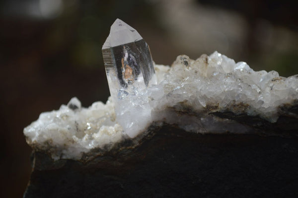 Natural Clear Quartz On Dolomite Matrix Specimens x 4 From Brandberg, South Africa