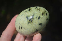 Polished Spotted Leopard Stone Eggs x 8 From Nyanga & Shamva, Zimbabwe - Toprock Gemstones and Minerals 