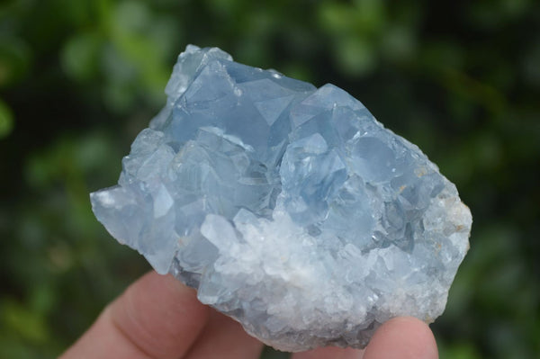 Natural Blue Celestite Crystal Specimens  x 4 From Sakoany, Madagascar - Toprock Gemstones and Minerals 