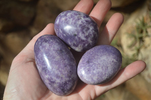 Polished Purple Lepidolite Palm Stones  x 12 From Zimbabwe