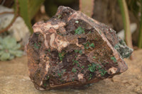 Natural Drusy Coated Ball Malachite On Dolomite Specimen  x 1 From Likasi, Congo