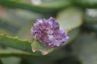 Natural Mini Dark Purple Amethyst Specimens  x 70 From Zambia - Toprock Gemstones and Minerals 