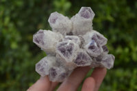 Natural Sugar Amethyst Clusters  x 4 From Solwezi, Zambia