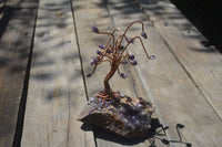 Polished Amethyst & Copper Gemstone Tree On Amethyst Basalt Specimen  x 1 From Zululand, South Africa - TopRock