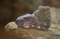 Natural Window Amethyst Crystals  x 12 From Chiredzi, Zimbabwe