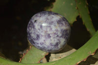 Polished Purple Lepidolite Palm Stones  x 12 From Zimbabwe