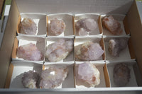 Natural Spirit Amethyst Quartz Clusters  x 12 From Boekenhouthoek, South Africa - Toprock Gemstones and Minerals 