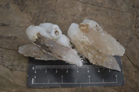 Natural Drusy Quartz Coated Calcite Crystals  x 12 From Alberts Mountain, Lesotho - Toprock Gemstones and Minerals 