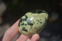 Polished Spotted Leopard Stone Eggs x 8 From Nyanga & Shamva, Zimbabwe - Toprock Gemstones and Minerals 