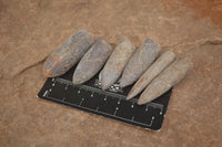 Natural Fossil Rostrums / Belenites Specimens  - Sold per 350 g - From Maintirano, Madagascar - TopRock