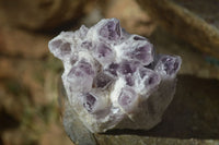 Natural Sugar Amethyst Clusters  x 4 From Solwezi, Zambia