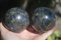 Polished Rare Iolite / Water Sapphire Spheres  x 2 From Northern Cape, South Africa - Toprock Gemstones and Minerals 