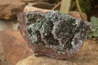 Natural Drusy Coated Ball Malachite On Dolomite Specimen  x 1 From Likasi, Congo