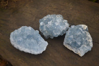 Natural Blue Celestite Crystal Specimens  x 3 From Sakoany, Madagascar - Toprock Gemstones and Minerals 