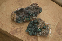 Natural Rare Ball Malachite On Drusy Quartz & Dolomite Matrix Specimens x 2 From Kambove, Congo