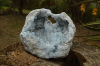 Natural Gorgeous Crystalline Pale Blue Celestite Geode Specimen  x 1 From Sakoany, Madagascar - TopRock